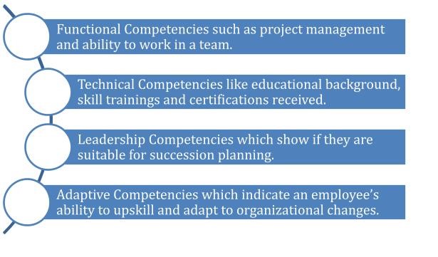 Four competency types: functional, technical, leadership and adaptive, each with examples